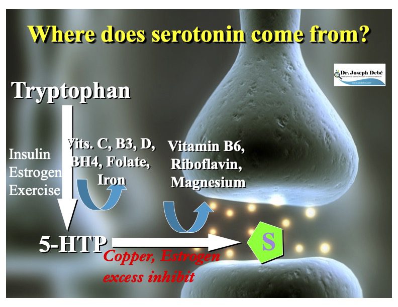 Serotonin synthesis process from tryptophan diagram.